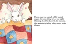The bunnys dream
