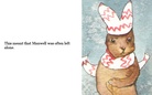 Maxwell's Adventure