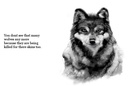 We must look after wild animals.