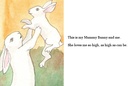 Bunnykin Remembers Mummy Bunny's Words.