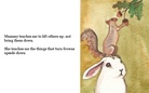 Bunnykin Remembers Mummy Bunny's Words.