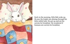Rabbit days