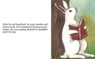Rabbit days