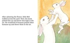 Rabbit days