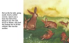 Busy Bunny Day