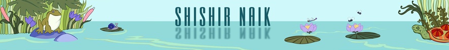 shishir naik