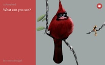 What can you see?