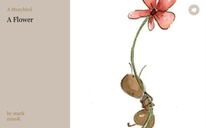 A Flower