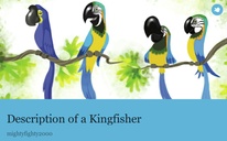 Description of a Kingfisher
