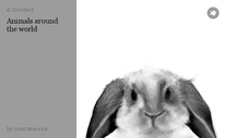 Animals around the world