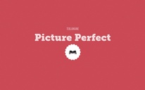 Picture Perfect