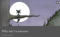 Why am I a raccoon 