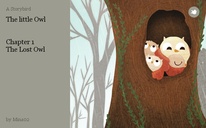 The little Owl


Chapter 1
The Lost Owl