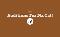 Auditions For Mr.Cat!