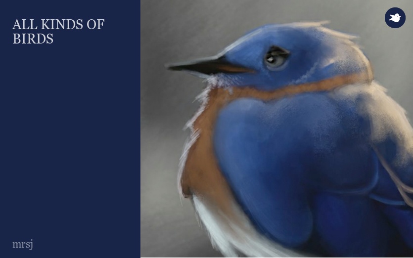ALL KINDS OF BIRDS