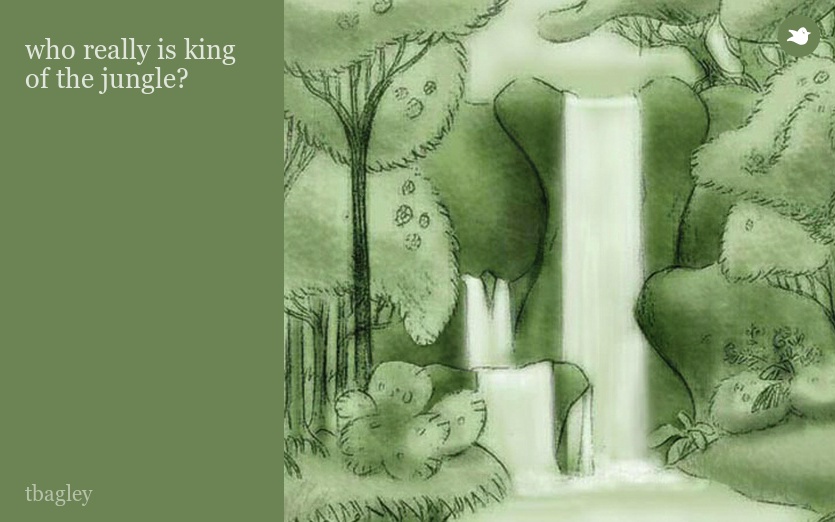 who really is king of the jungle?