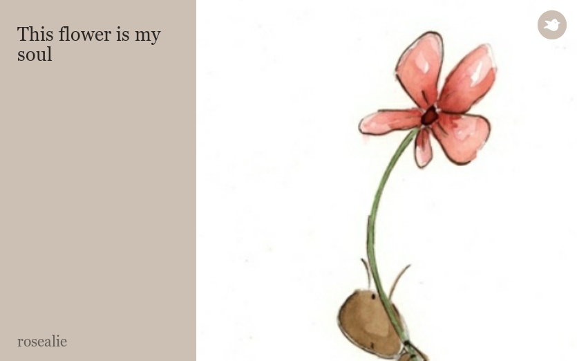This flower is my soul