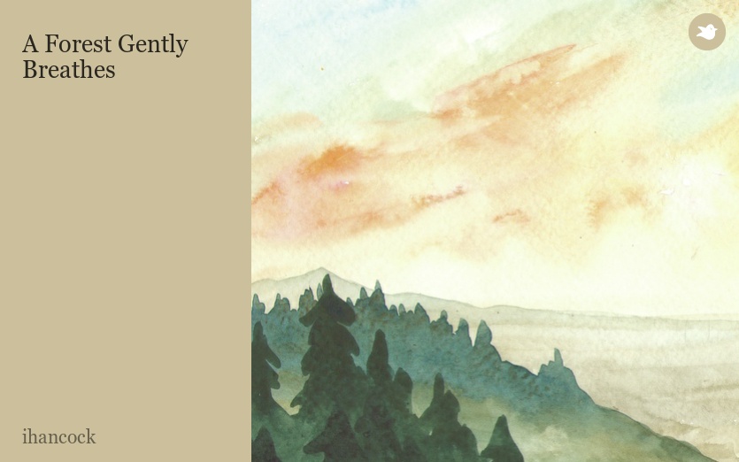 A Forest Gently Breathes
