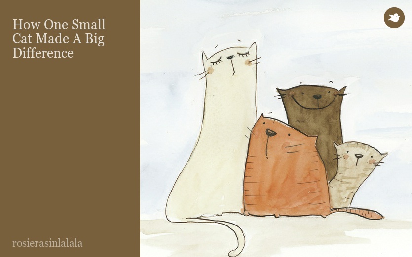 How One Small Cat Made A Big Difference