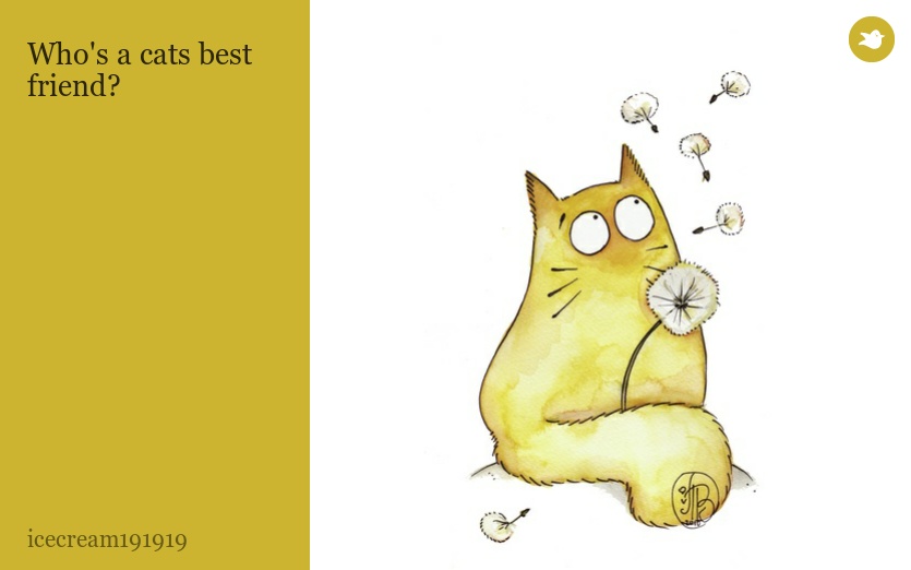 Who's a cats best friend?