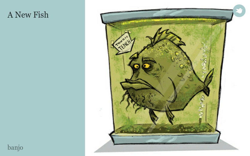 A New Fish