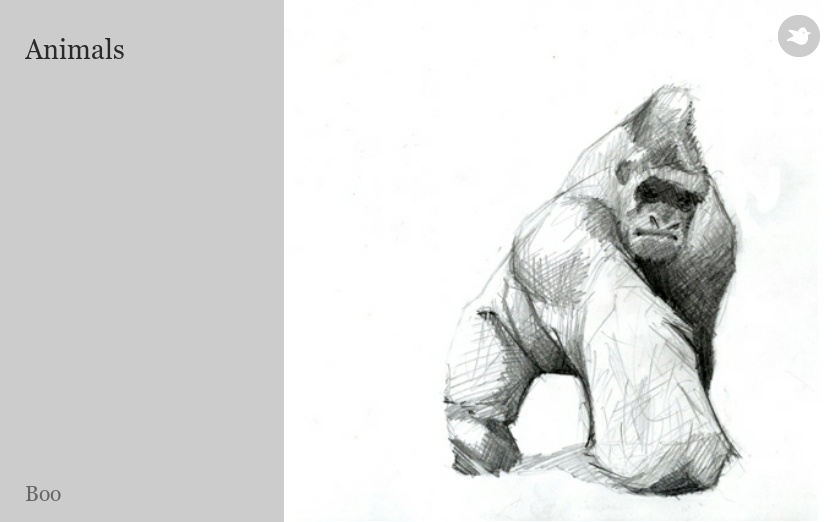 Animals