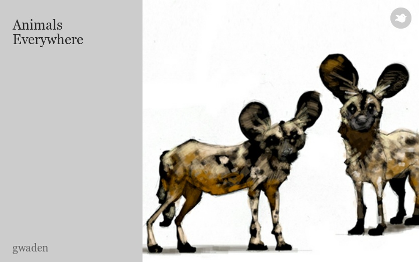 Animals Everywhere