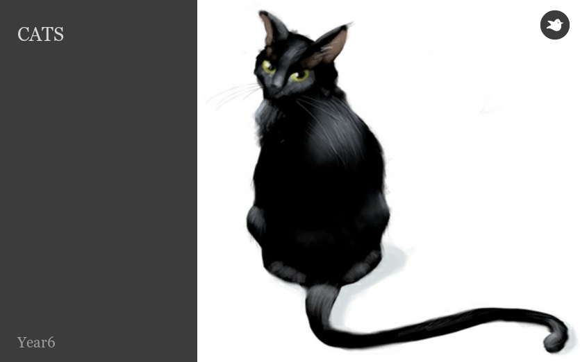 CATS