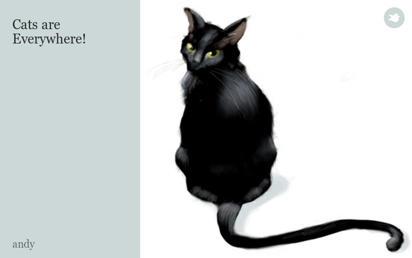 Cats are Everywhere!