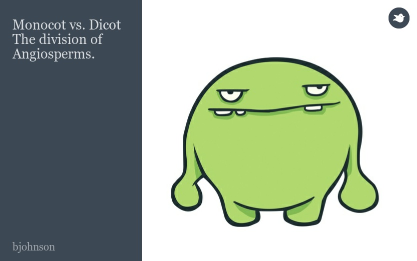 Monocot vs. Dicot The division of Angiosperms.
