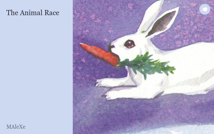 The Animal Race