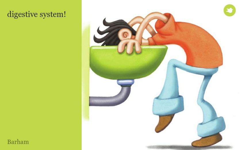 digestive system!