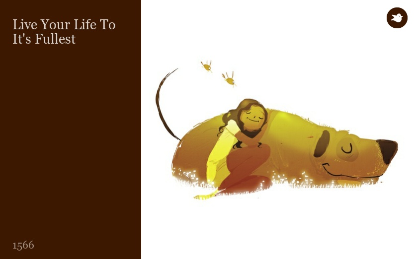 Live Your Life To It's Fullest