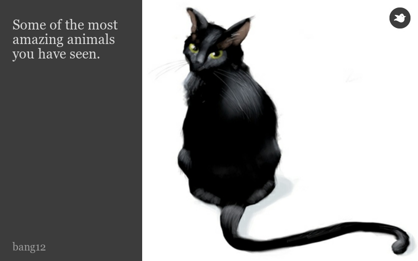 Some of the most amazing animals you have seen.