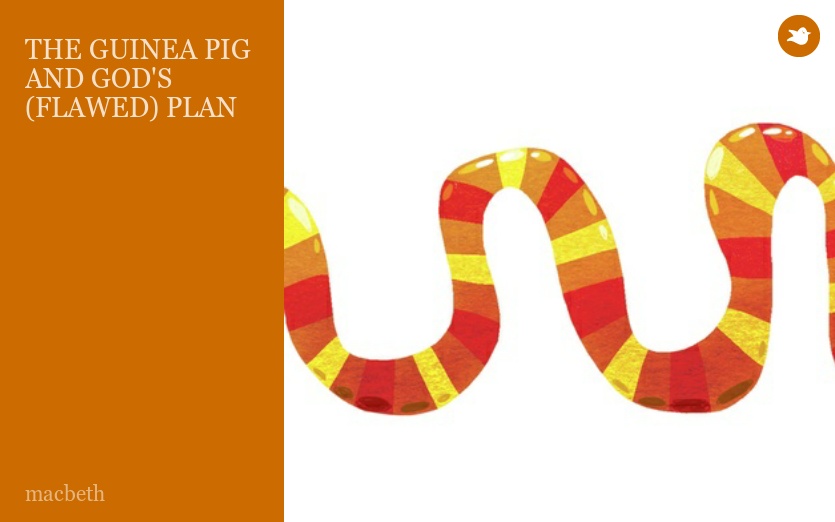 THE GUINEA PIG AND GOD'S (FLAWED) PLAN