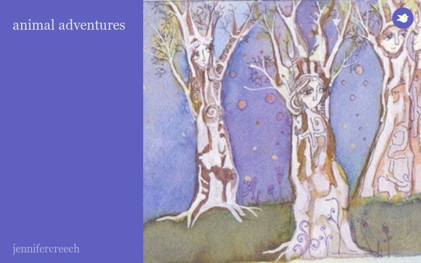 animal adventures