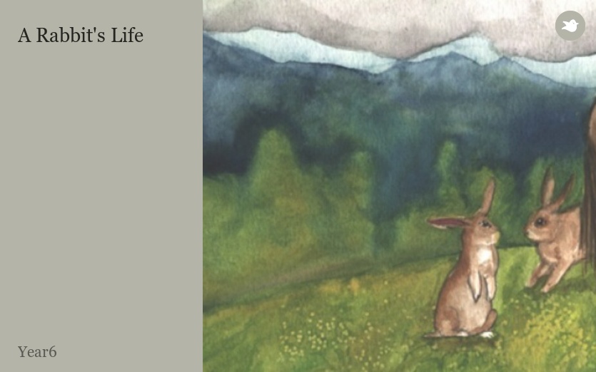 A Rabbit's Life