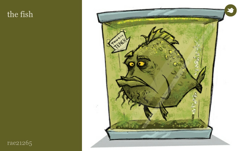 the fish