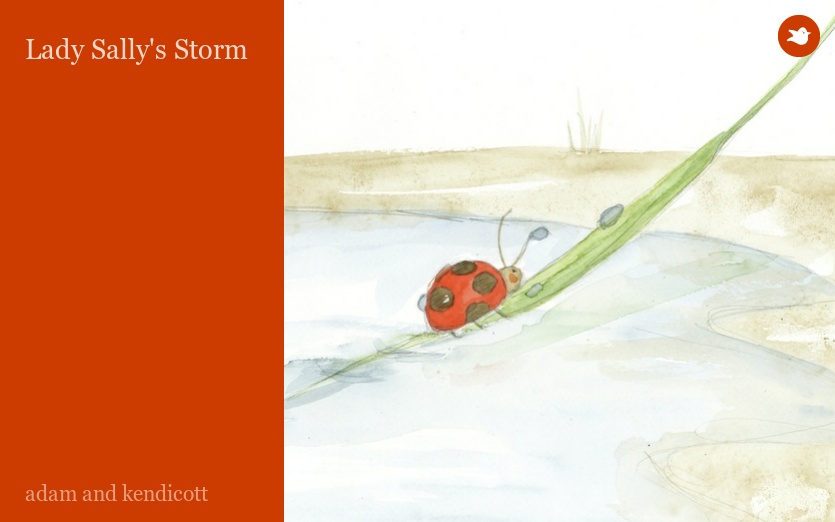 Lady Sally's Storm