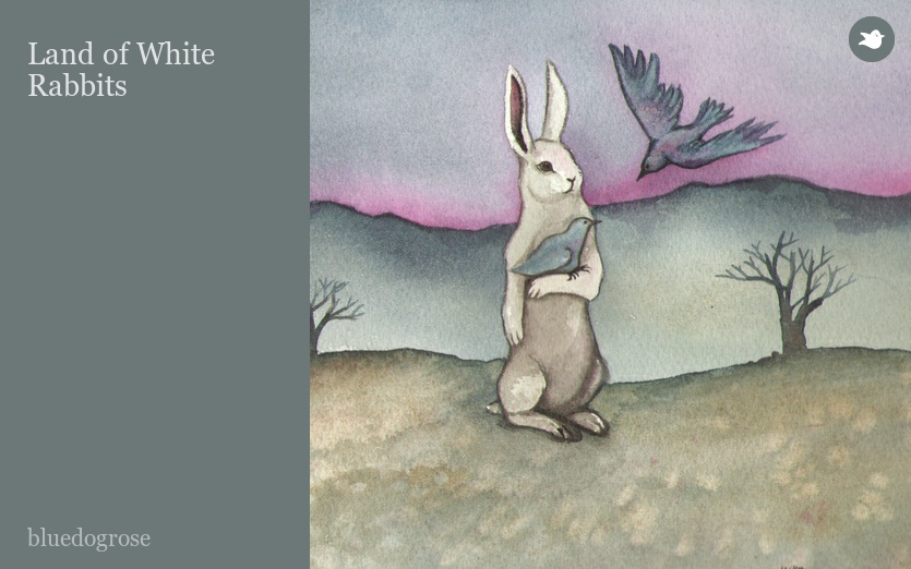 Land of White Rabbits