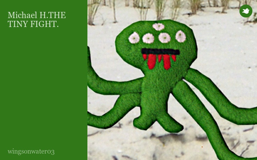 Michael H.THE TINY FIGHT.