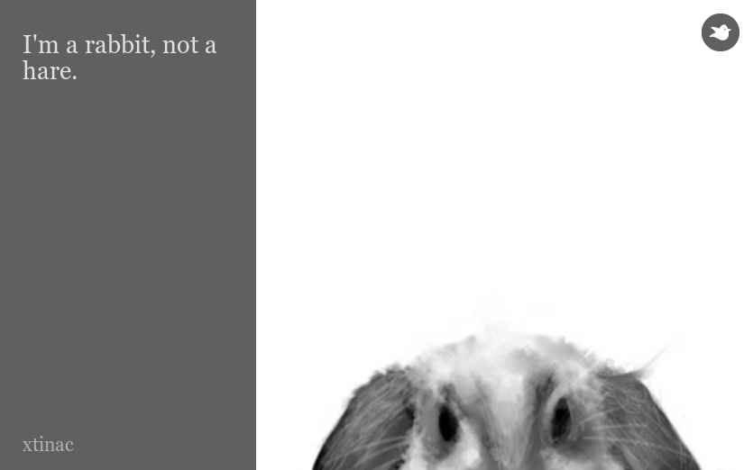 I'm a rabbit, not a hare.