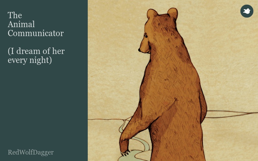 The 
Animal Communicator

(I dream of her every night)