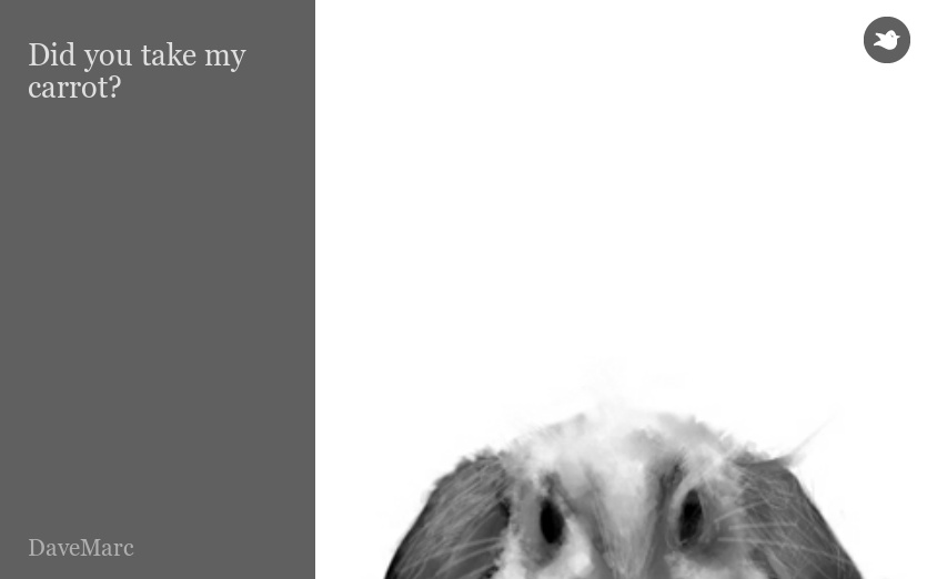 Did you take my carrot?