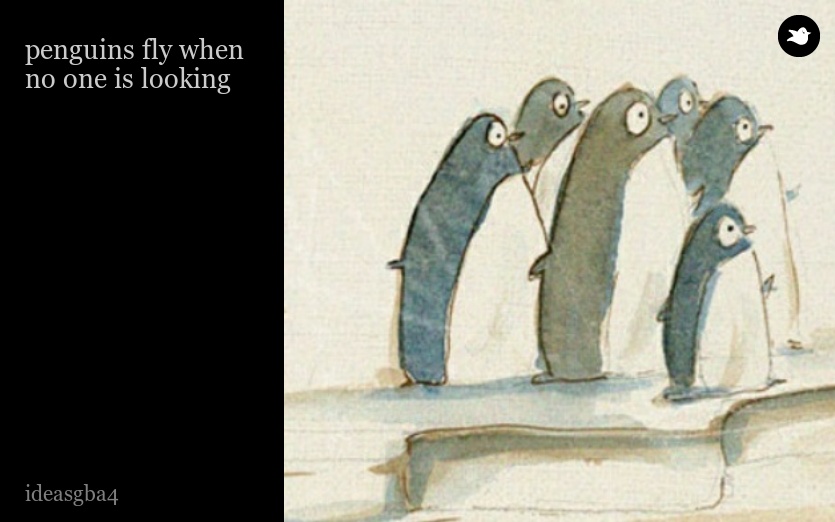 penguins fly when no one is looking