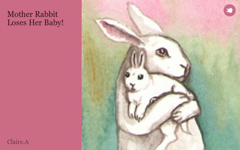 Mother Rabbit Loses Her Baby!