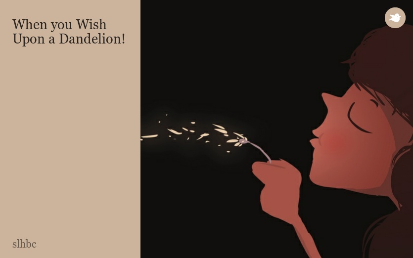 When you Wish Upon a Dandelion!
