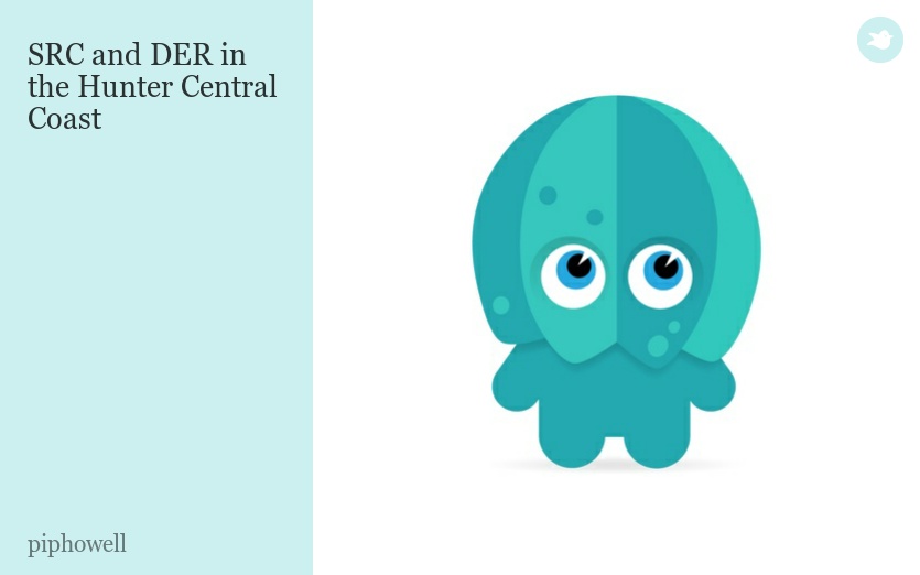 SRC and DER in the Hunter Central Coast