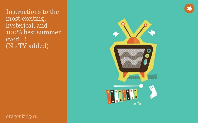 Instructions to the most exciting, hysterical, and 100% best summer ever!!!!
(No TV added)