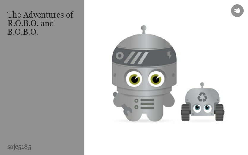 The Adventures of R.O.B.O. and B.O.B.O.